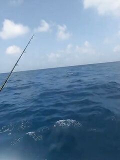 Рыбалка в Джибути