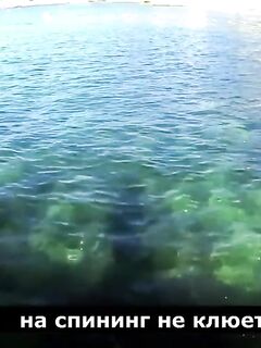 Рыбалка в Форосе