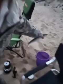 Рыбалка в Ливадии