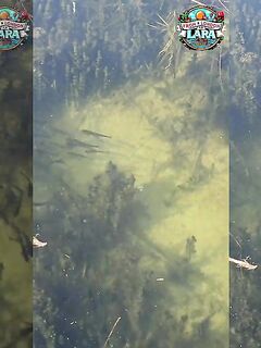 Рыбалка в Ларе