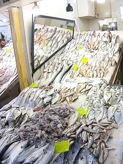 Рыбалка в Кушадасы