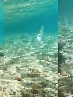 Рыбалка в Чешме