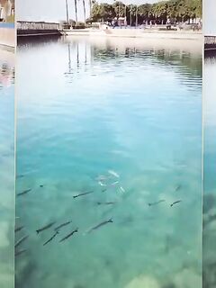 Рыбалка в Тургутреисе