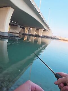 Рыбалка в Абу-Даби