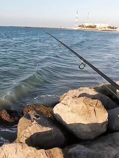 Рыбалка в Рас-эль-Хайме