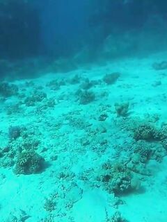 Рыбалка в Эль-Гуне