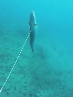 Рыбалка в Айн-Сохне