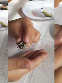 Рыбалка в Сурине