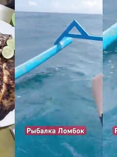 Рыбалка на Ломбоке
