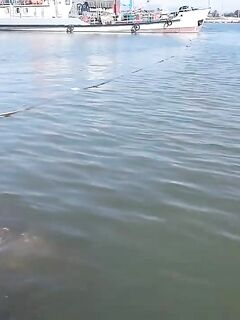 Рыбалка в Фантьете