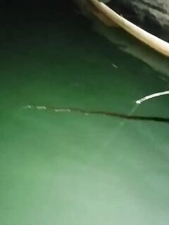 Рыбалка в Халонге