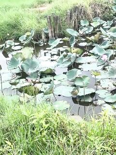 Рыбалка в Хойане