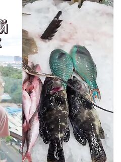 Рыбалка в Вунгтау