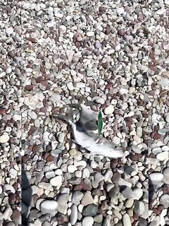 Рыбалка в Пафосе