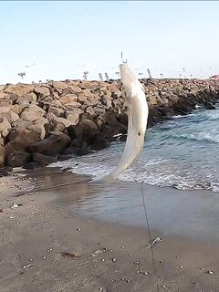 Рыбалка в Хайфе