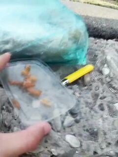 Рыбалка в Ашдоде