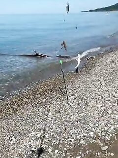 Рыбалка в Лазаревском