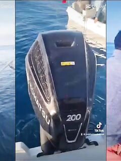 Рыбалка на Кайо-Коко