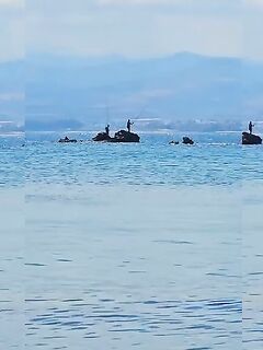 Рыбалка в Полисе