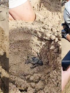 Рыбалка в заливе Лара