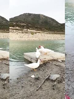 Рыбалка на водохранилище Курис