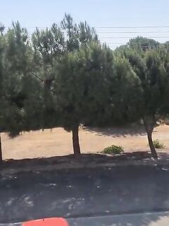 Рыбалка на Ледис-Майл