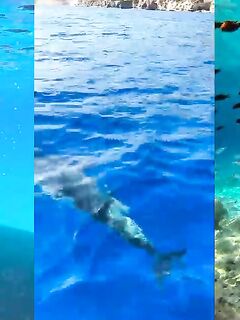 Рыбалка в Голубой лагуне, Акамас