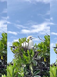 Рыбалка на Сейшелах