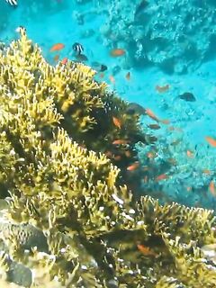 Рыбалка в Тала-Бей