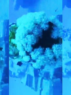 Рыбалка на Южном пляже Акабы