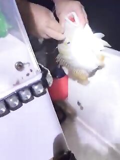 Рыбалка на острове Банана