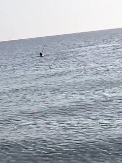 Рыбалка в Месайиде и Силин