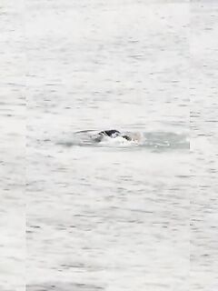 Рыбалка в Духане и Зикрите