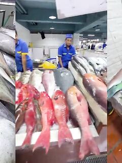 Рыбалка в Джидде