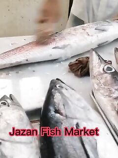 Рыбалка в Джазане