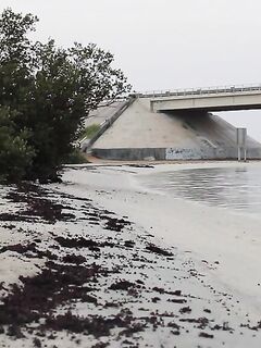 Рыбалка на Фарасанских островах