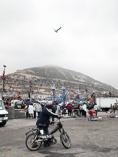 Рыбалка в Агадире