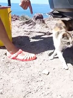 Рыбалка в Сиди-Ифни