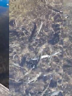 Рыбалка на Ла-Гомере