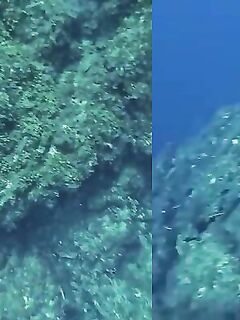 Рыбалка на Эль-Йерро