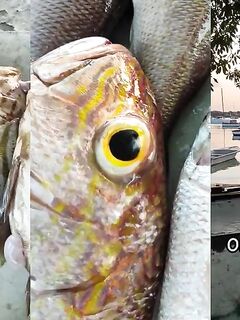 Рыбалка в Гранд-Бе