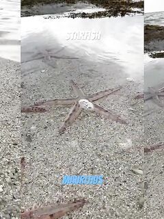 Рыбалка у острова Иль-о-Серф