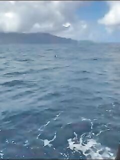 Рыбалка на Маэ