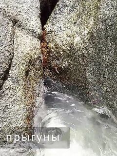 Рыбалка на Ла-Диге