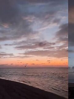 Рыбалка на Альфонс-Айленде