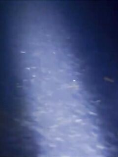 Рыбалка на Фрегате