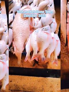 Рыбалка в Стоун-Тауне