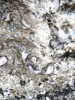 Рыбалка на острове Чумбе