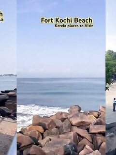 Рыбалка в Кочине (Керала)