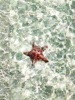 Рыбалка на Кайо-Гильермо